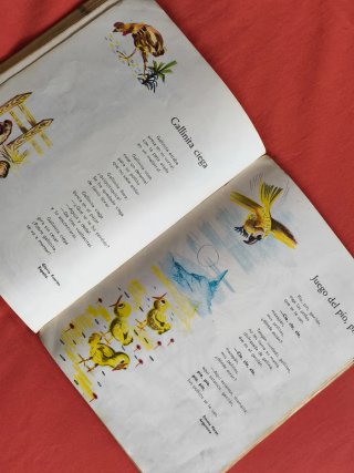 LECTURA INFANTIL EGB ESCOLAR COLEGIO AÑO 1970