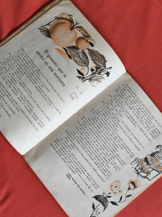 LECTURA INFANTIL EGB ESCOLAR COLEGIO AÑO 1970