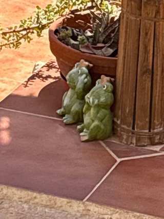 2 Rane in Ceramica per Giardino