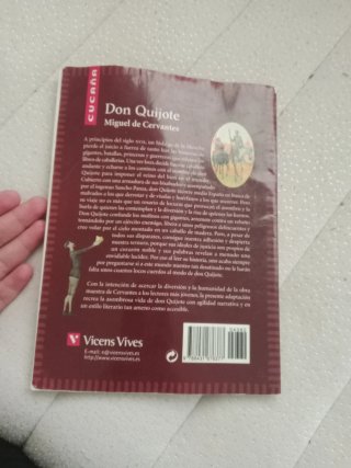 Don Quijote de la Mancha, adaptación