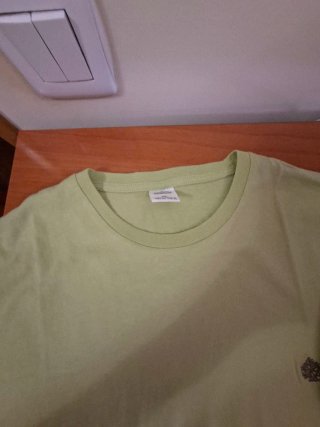 Camiseta Springfield verde manga corta