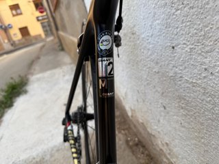 Giant TCR Advanced 2 Carbón Talla M