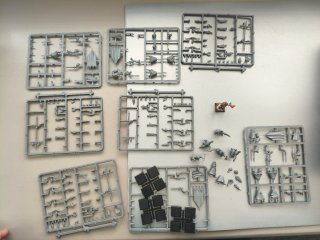 Warhammer Arqueros Altos Elfos
