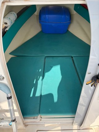 Barco Rio 550 Cruiser Mercury 130Hp