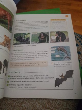 Ciencias de la Naturaleza 4°Primaria