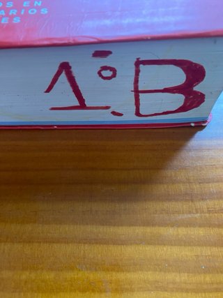 Diccionario Secundaria y Bach.  lengua española