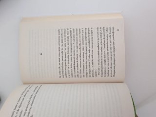 Novela autoayuda