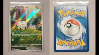 Togedemaru PFL 104/094 Inglés