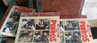Colección vintage de perros