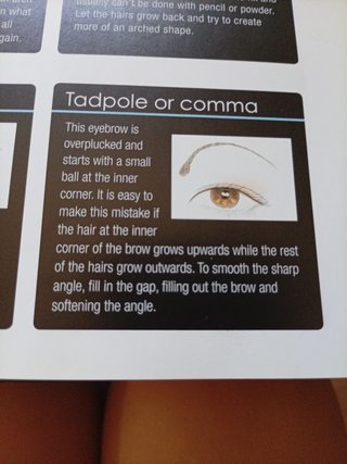 Libro de Maquillaje Make-up