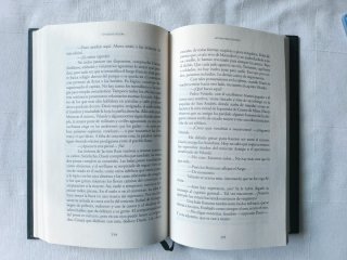 Arturo Pérez Reverte - Un día de colera