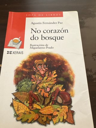 No corazón do bosque