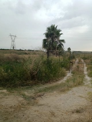 Terreno rústico en Utrera