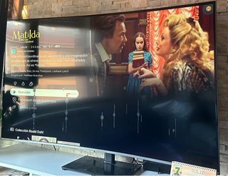 Televisor Curvo Samsung Negro/Gris