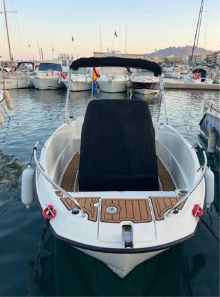 Quicksilver Activ 555 Mercury 115cv
