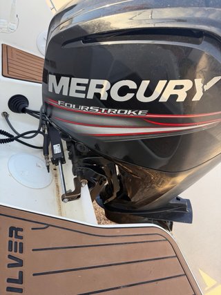 Quicksilver Activ 555 Mercury 115cv