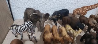 Lote animales salvajes Schleich