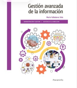 Gestión avanzada de la información (E-Book)