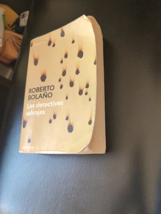 Los detectives salvajes