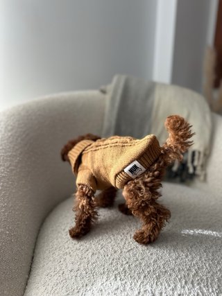 Jersey Nuk para perro/a marrón