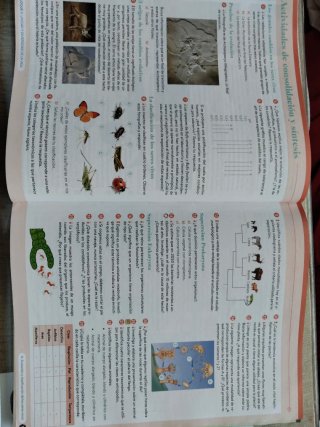 Biología, Geología y CC. Ambientales 1º Bachill...