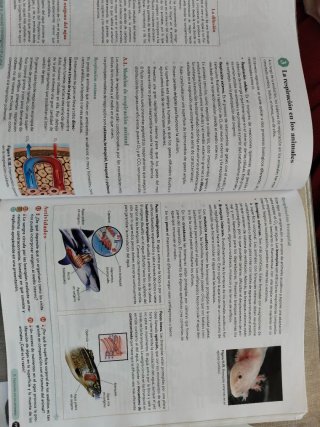 Biología, Geología y CC. Ambientales 1º Bachill...