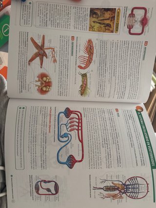 Biología, Geología y Ciencias Ambientales 1 Bac...