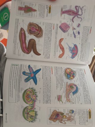 Biología, Geología y Ciencias Ambientales 1 Bac...