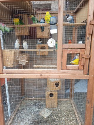 Jaula grande de madera para pájaros