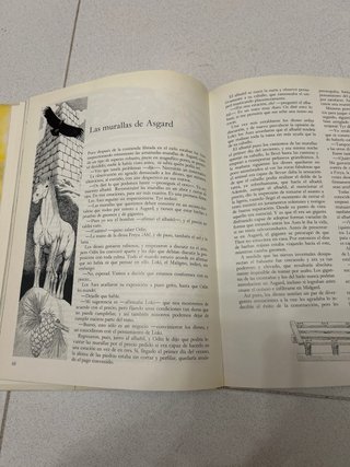 Dioses y héroes de la mitología vikinga. ANAYA
