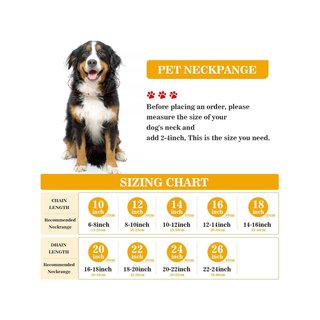 Collar perro oro 18 quilates resistente