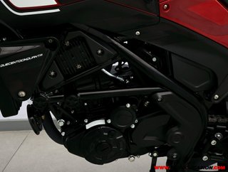 BENELLI LEONCINO 250 -APTA A2-