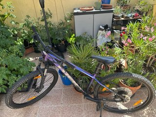 Bicicleta de montaña azul