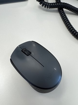 Ratón Logitech Gris