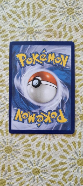 Lote Cartas Pokémon Charizard VMAX y Dracaufeu