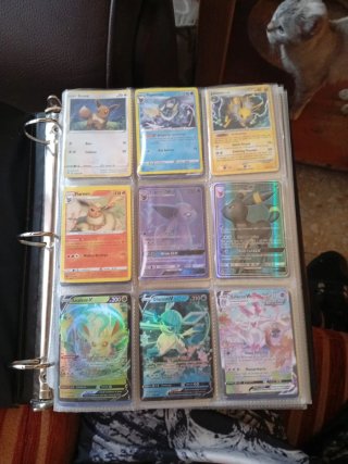 2 Álbumes Cartas Pokémon: 1 Vacío, 1 con 390 calta