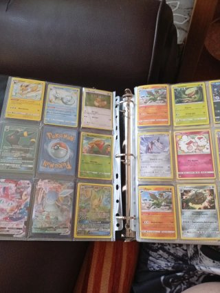 2 Álbumes Cartas Pokémon: 1 Vacío, 1 con 390 calta