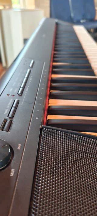 Teclado Yamaha NP-12