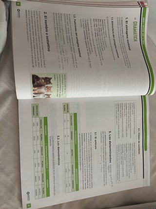 Lengua Castellana, 3 ESO, Programa Carmen de Bu...