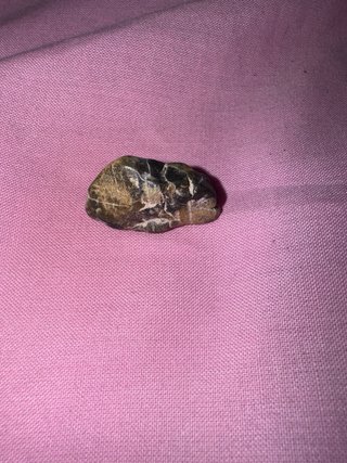 Piedra Calcedonia Forma Animal Rara.