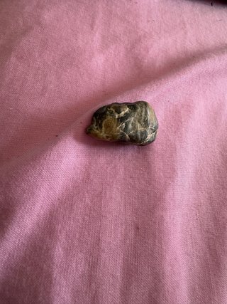 Piedra Calcedonia Forma Animal Rara.