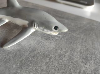 Tiburón Blanco, Safari 1995