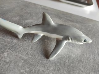 Tiburón Blanco, Safari 1995