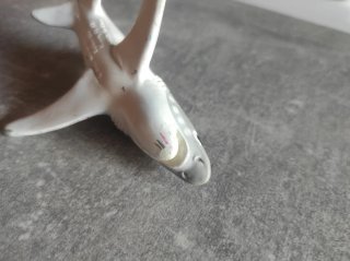 Tiburón Blanco, Safari 1995