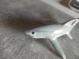 Tiburón Blanco, Safari 1995