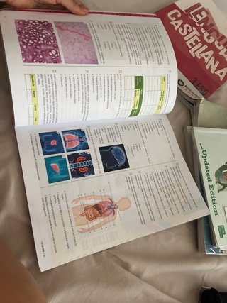 Biologia i Geologia 3, Secundària, Fanfest Baula