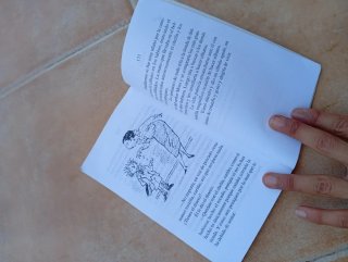 Ocho Aventuras de Guillermo el Travieso