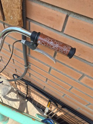 Bicicleta NIRVE Vintage Celeste