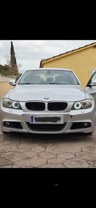 BMW Serie 3 2010