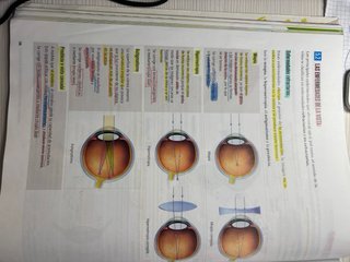 FANFEST Biología y Geología 3, Secundaria,edelvive